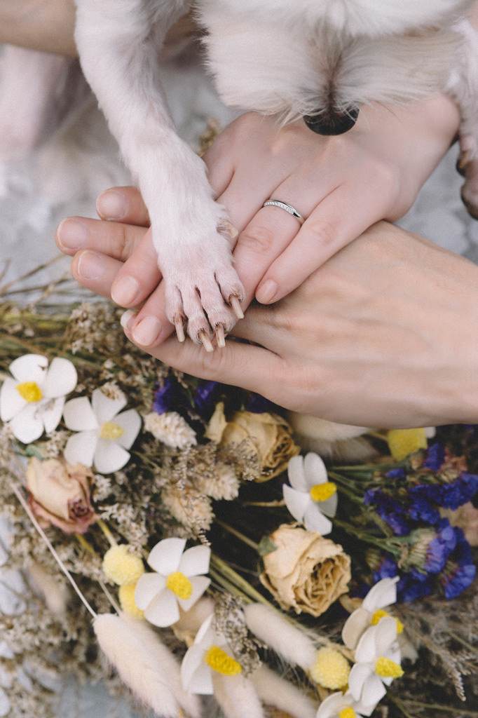 自助婚紗 | Jay&Jade Prewedding 作品紀錄