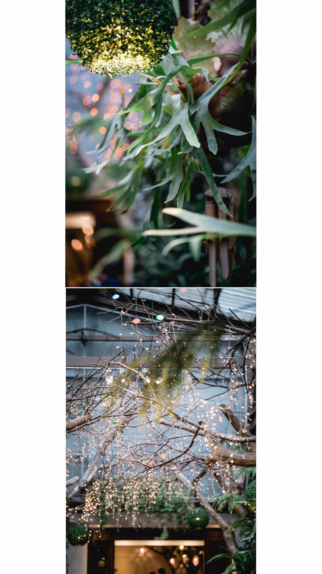 婚攝,婚攝推薦,台北花卉村,wedding