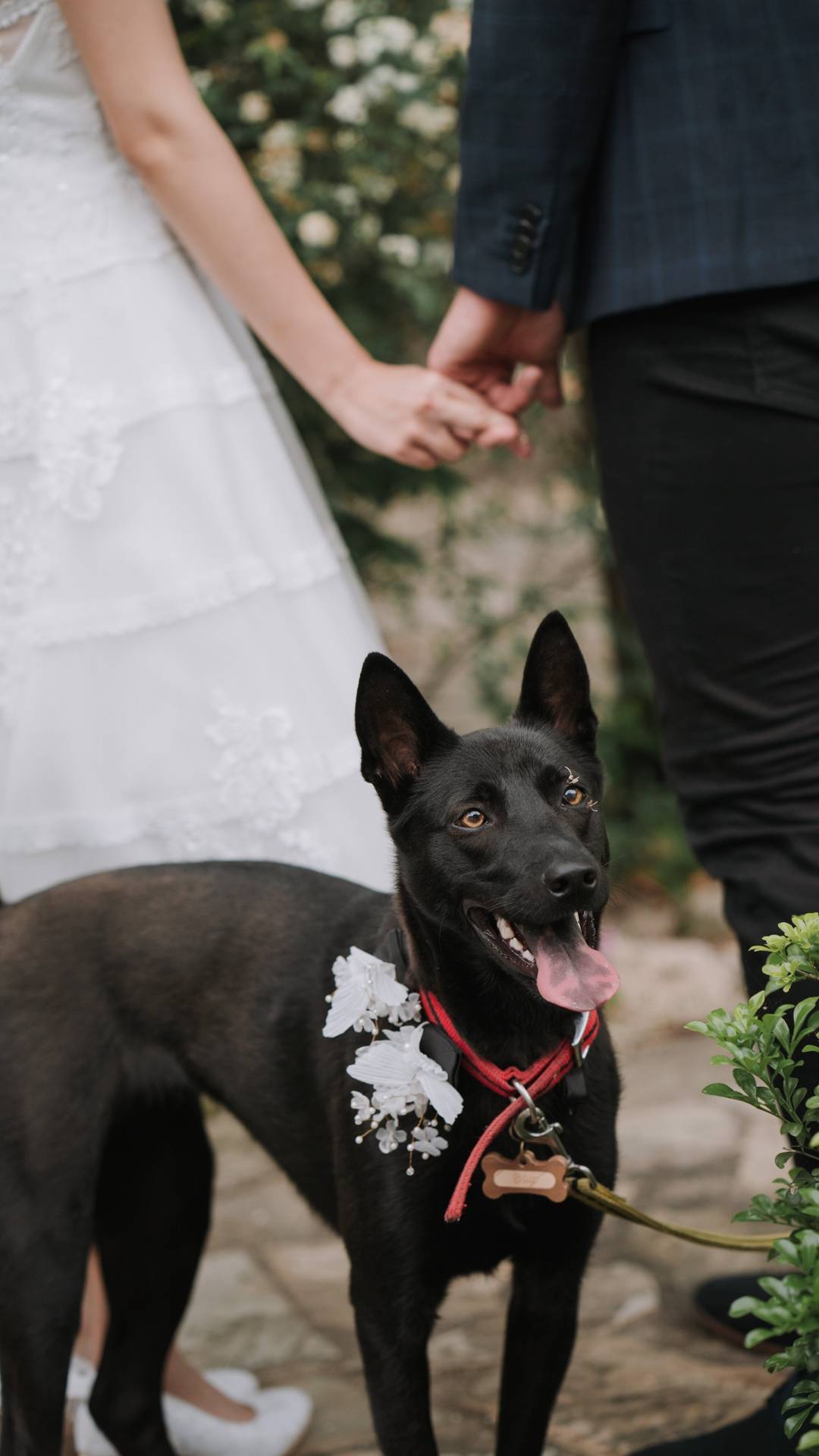 自助婚紗,婚紗,婚推推薦,桃園石門美軍宿舍,joanna wedding,幸福青鳥 Eliza Mao Make up