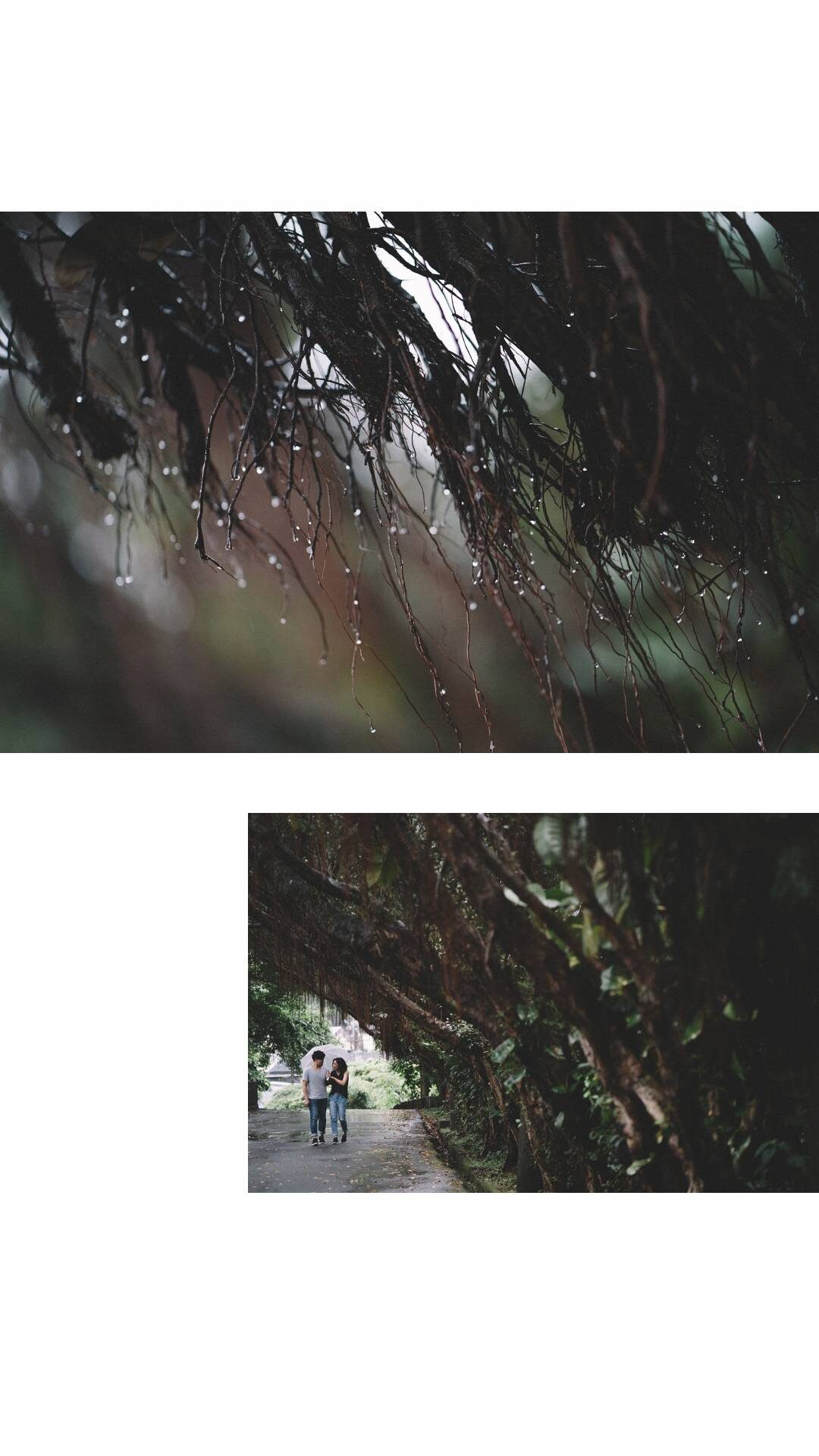 自助婚紗,潮境公園,婚攝推薦,婚攝,婚紗