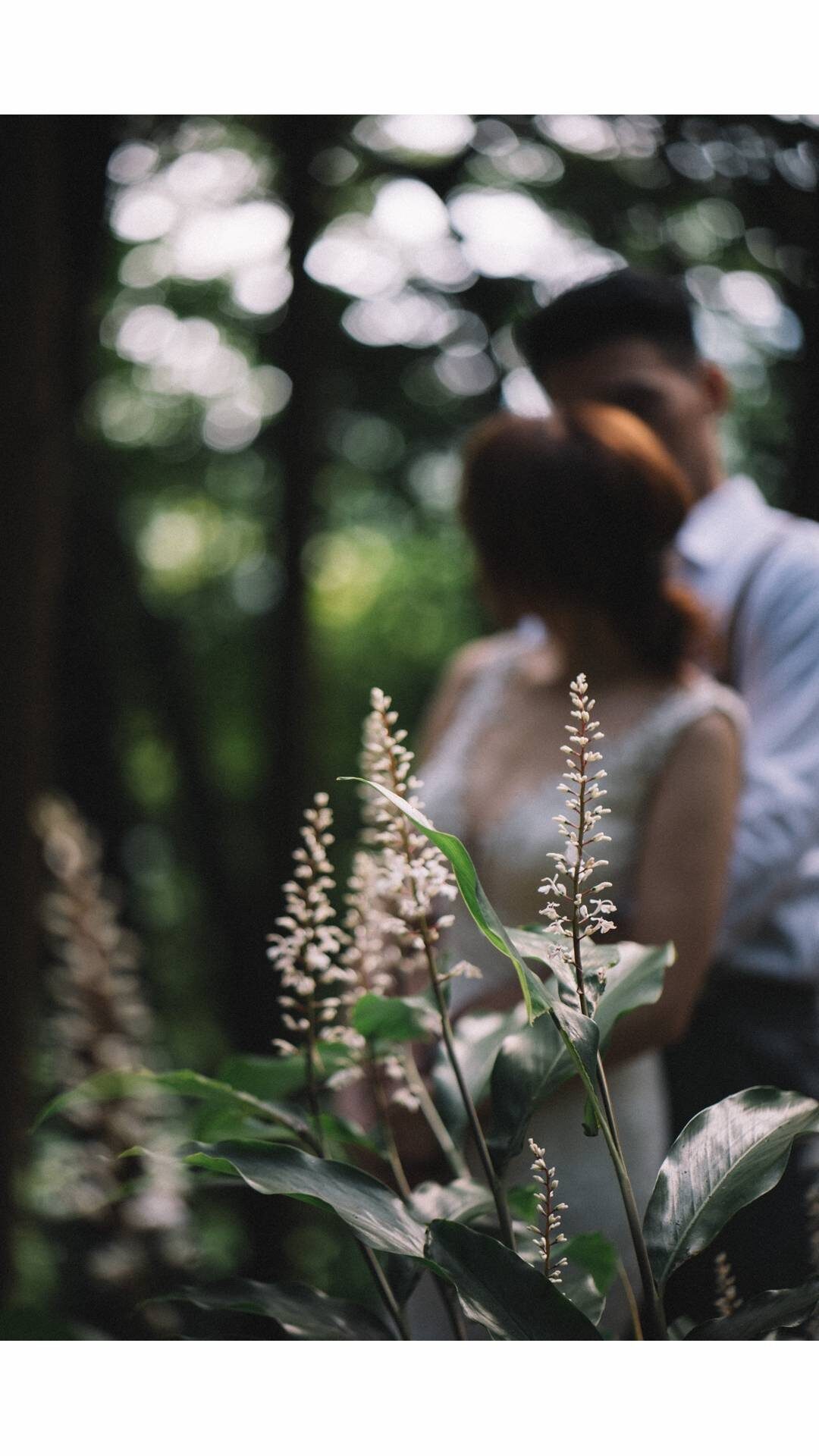 自助婚紗,婚攝,婚紗,陽明山,prewedding