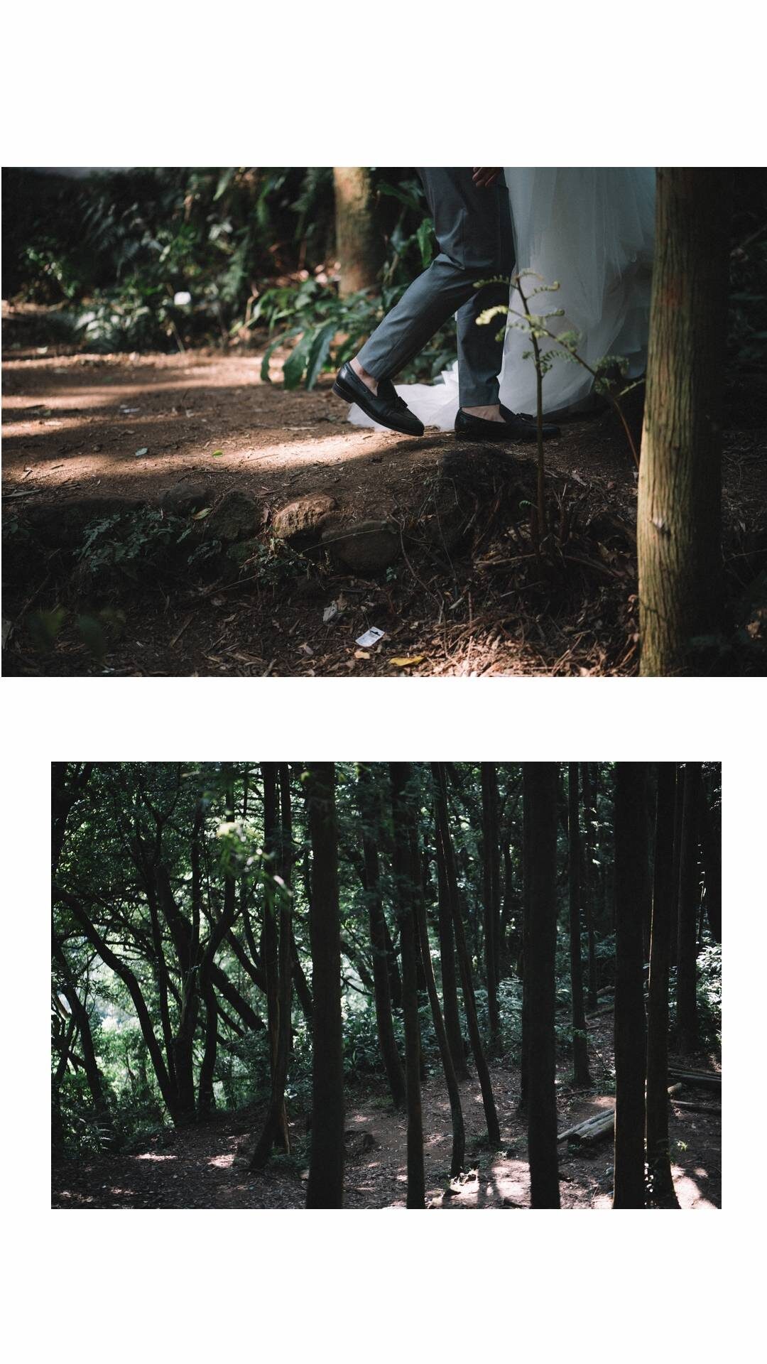 自助婚紗,婚攝,婚紗,陽明山,prewedding