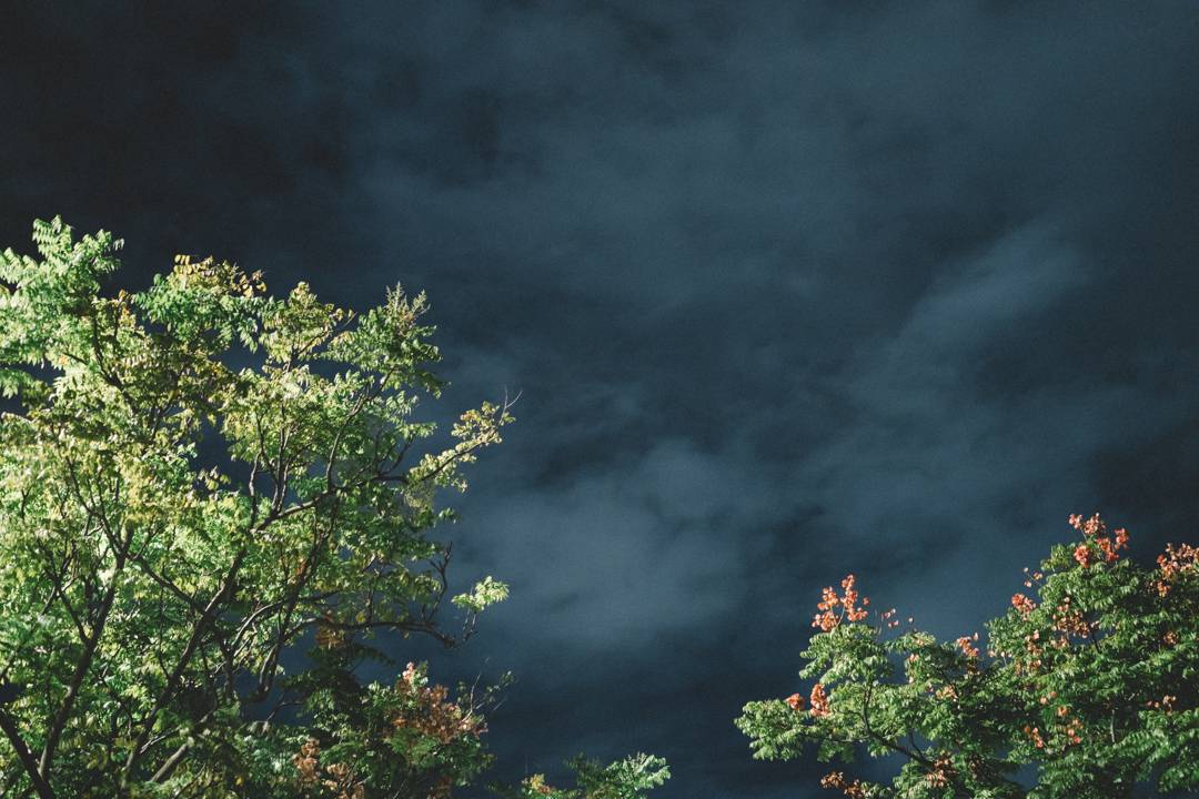 Zeiss Batis 40mm F2 CF – 貴在真實的感動 – 作品紀錄