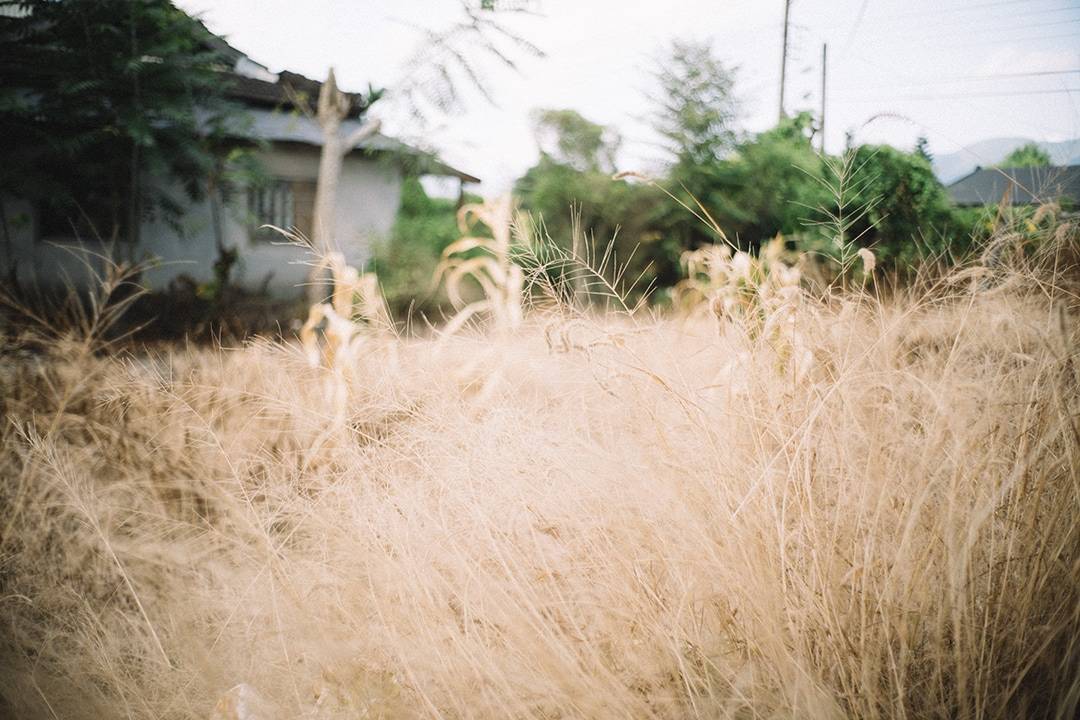 同志婚紗,Gay Prewedding,台東,自助婚紗