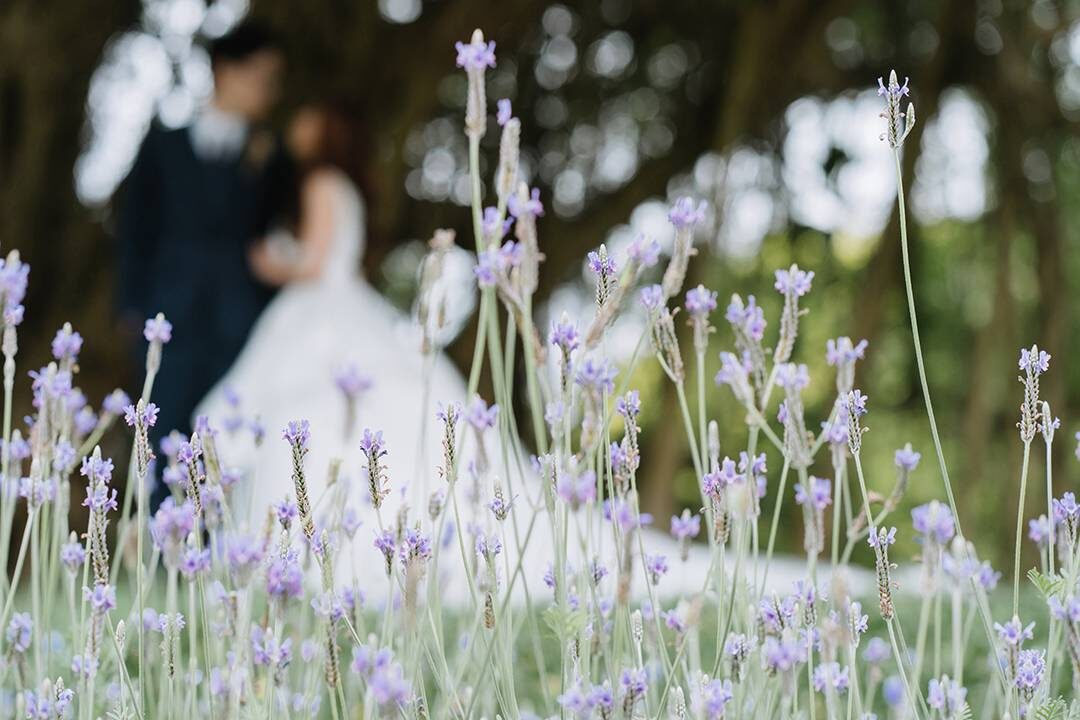 婚攝 Reeve&Anya @ 青青時尚花園