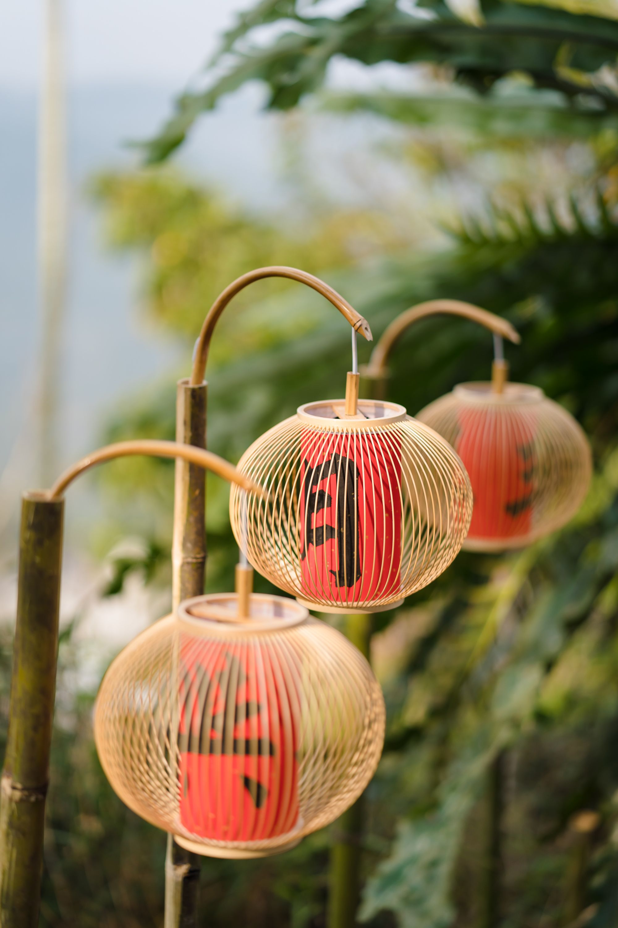 活動攝影 三月，與春櫻的流轉相思-櫻下茶會活動紀錄