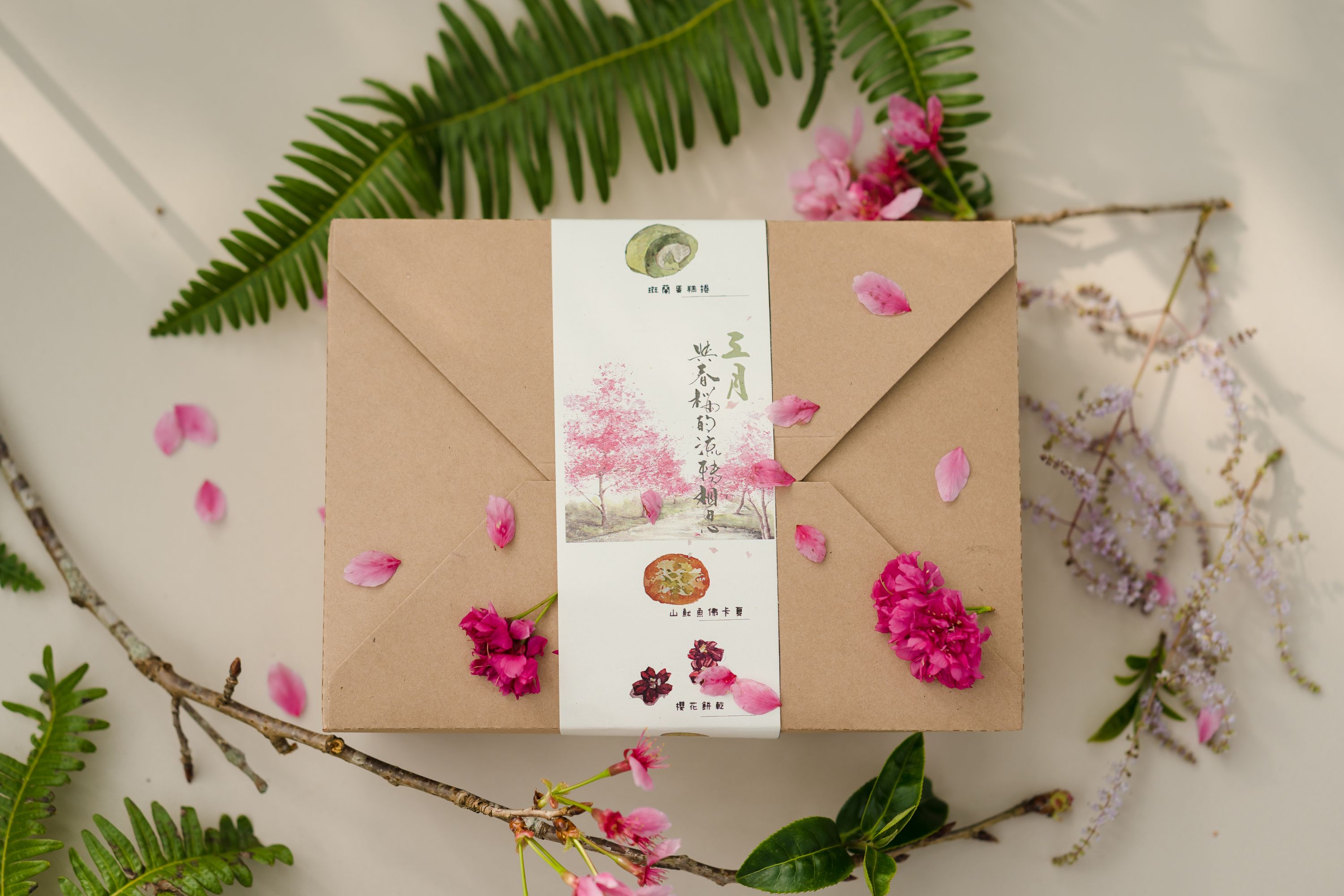 活動攝影 三月，與春櫻的流轉相思-櫻下茶會活動紀錄