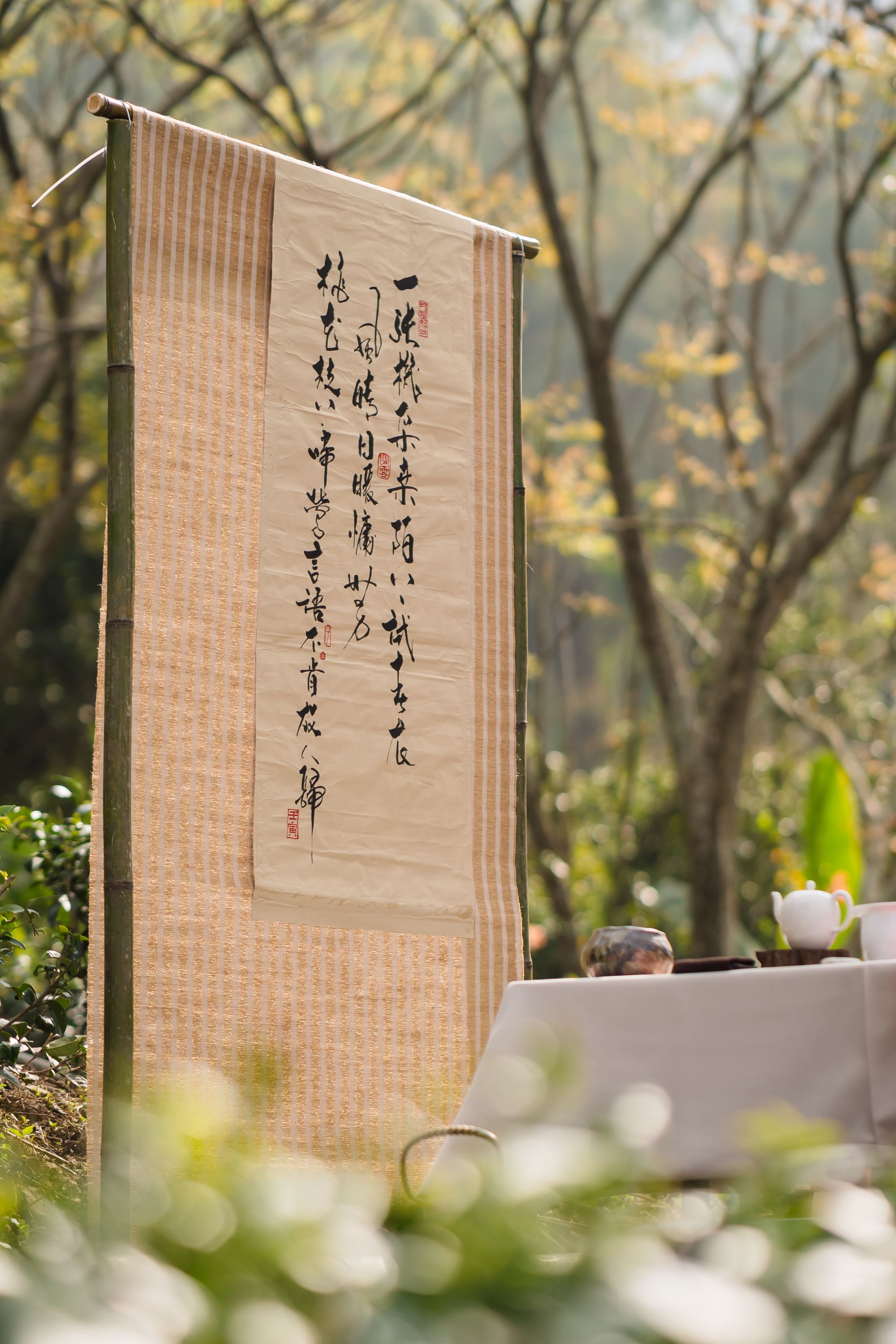 活動攝影 三月，與春櫻的流轉相思-櫻下茶會活動紀錄