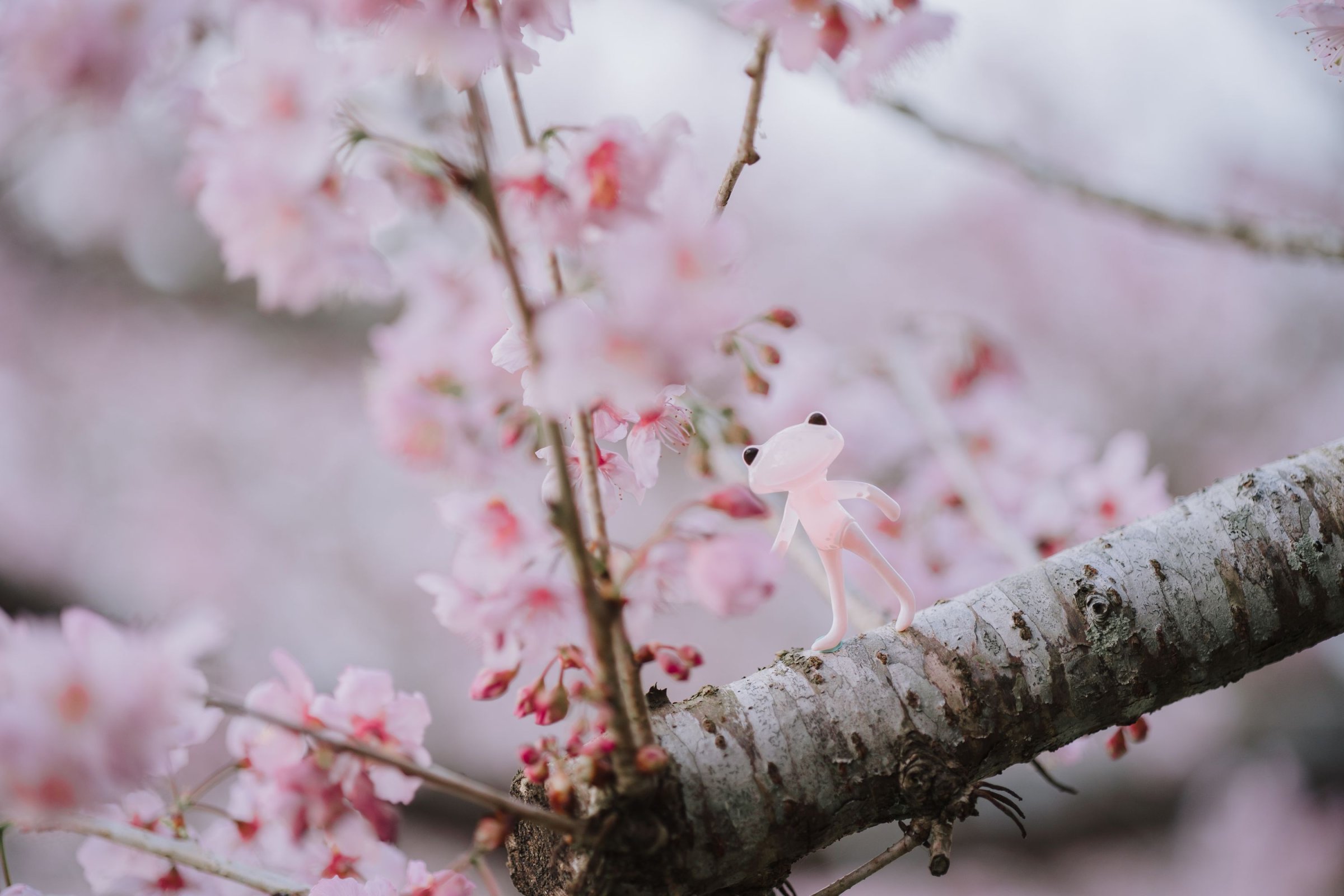 Zeiss Loxia 35mm/f2 & 85mm/f2.4 – 生活在現代城市中的老靈魂