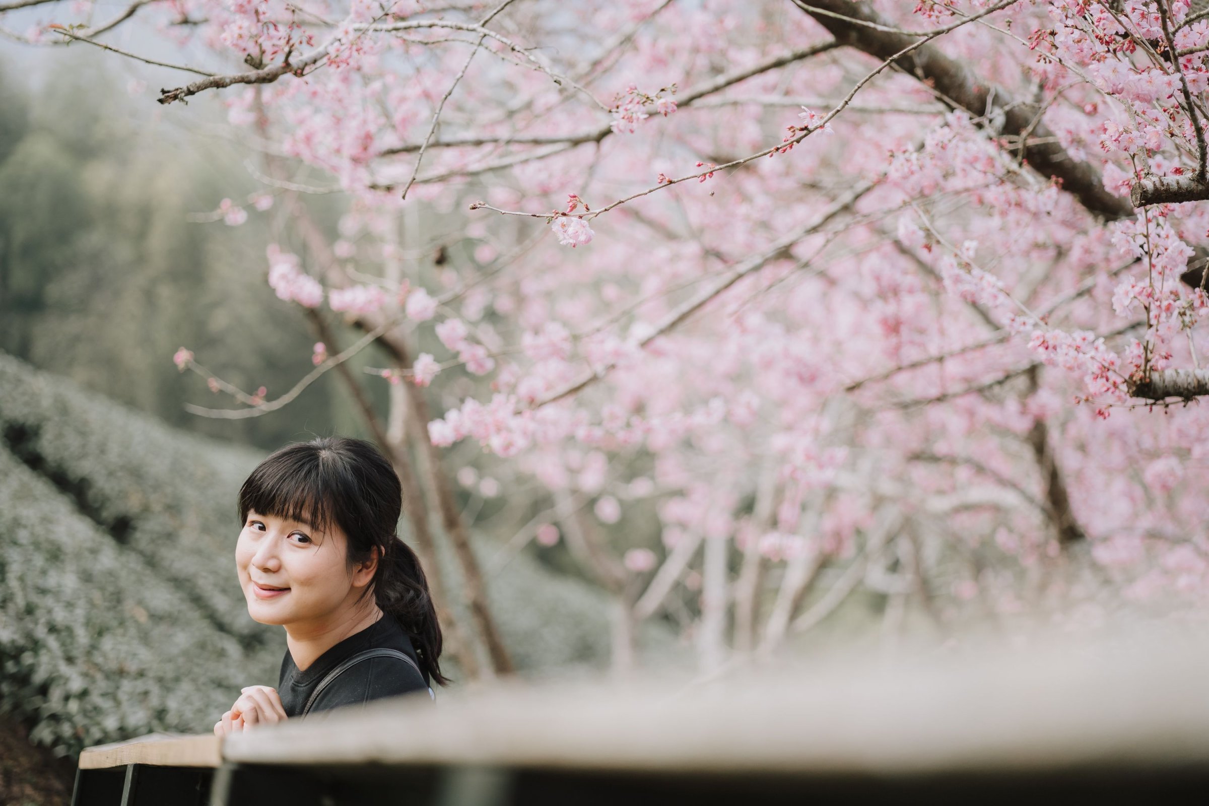 Zeiss Loxia 35mm/f2 & 85mm/f2.4 – 生活在現代城市中的老靈魂