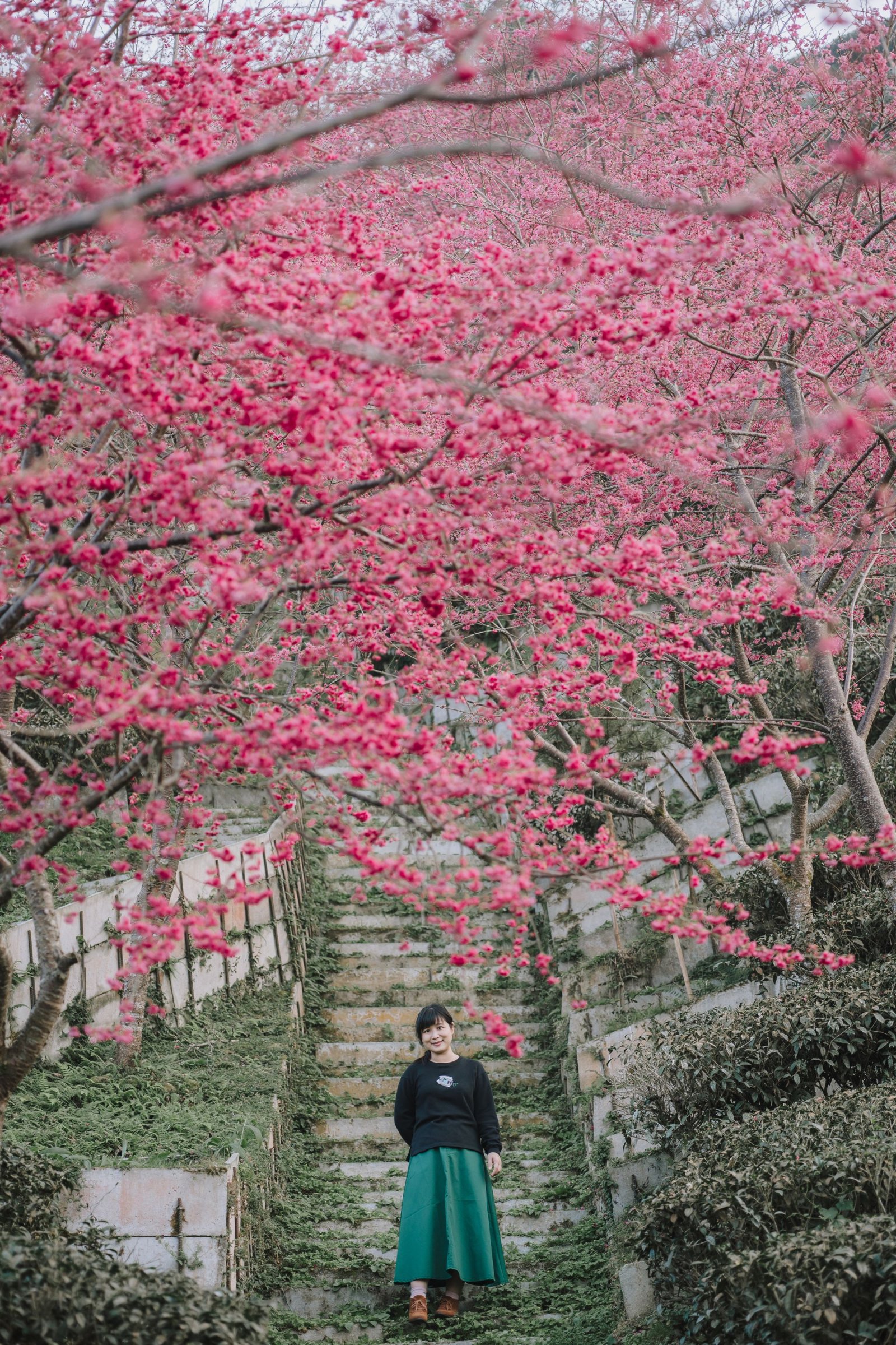 Zeiss Loxia 35mm/f2 & 85mm/f2.4 – 生活在現代城市中的老靈魂