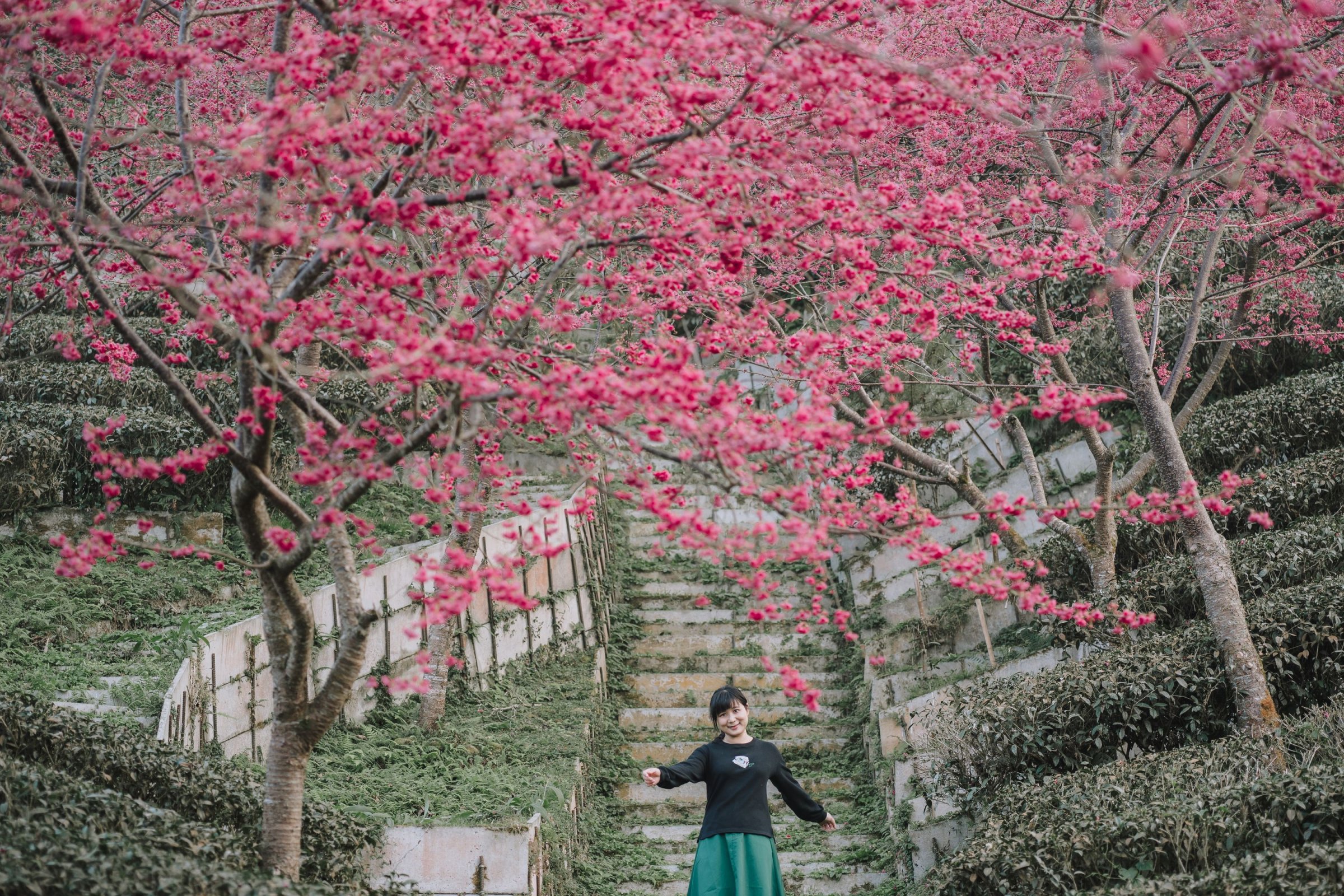 Zeiss Loxia 35mm/f2 & 85mm/f2.4 – 生活在現代城市中的老靈魂