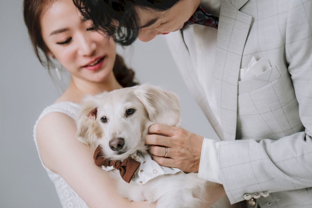 自助婚紗 | 建銓&語慈 婚紗拍攝紀錄