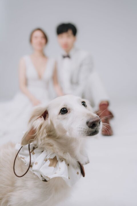 自助婚紗 | 建銓&語慈 婚紗拍攝紀錄